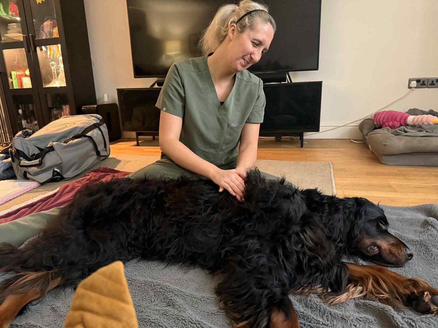 A large black and tan dog lying on their side while Shanice massages their shoulder at home